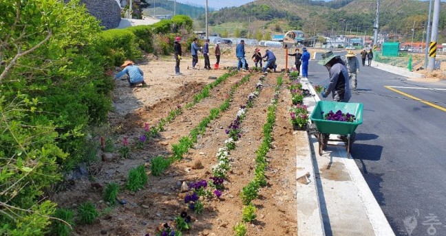 고암3통 마을 주민들, 도로변 꽃길 가꾸기 나서