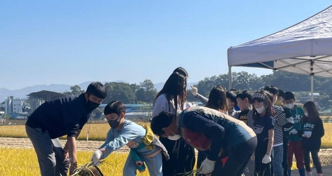 동화초, 교육실습생과 함께 벼수확 체험 진행