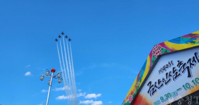 제41회 금산세계인삼축제, 공군 블랙이글스 에어쇼 축하 비행 확정