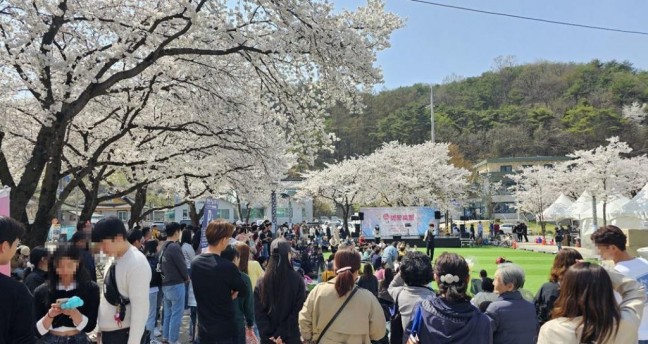 제천시, 제28회 청풍호 벚꽃축제 성료