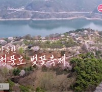 제28회 제천 청풍호 벚꽃축제(2024. 3. 27. ~ 4. 7.)