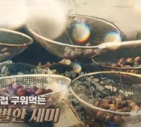 제7회 겨울공주군밤축제 & 2024 대한민국 알밤박람회 in 공주 홍보영상