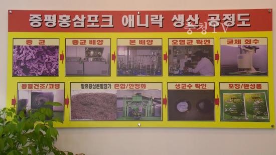 증평군 홍삼포트전문판매장 개장