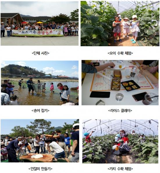 서울시, 온 가족 함께 딸기수확+캠핑…‘팜핑형 주말농부’ 신청하세요