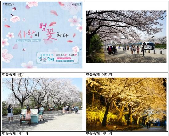7일～22일 ‘서울대공원 벚꽃축제’…로맨틱한 이벤트도 풍성